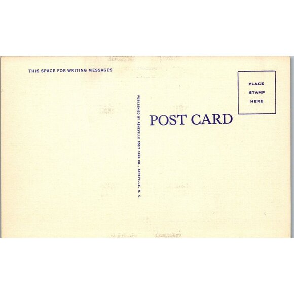 Postcard, Vintage, Aerial View, Capitol & Businesses,Columbia,SC,1920-30s - Picture 2 of 2